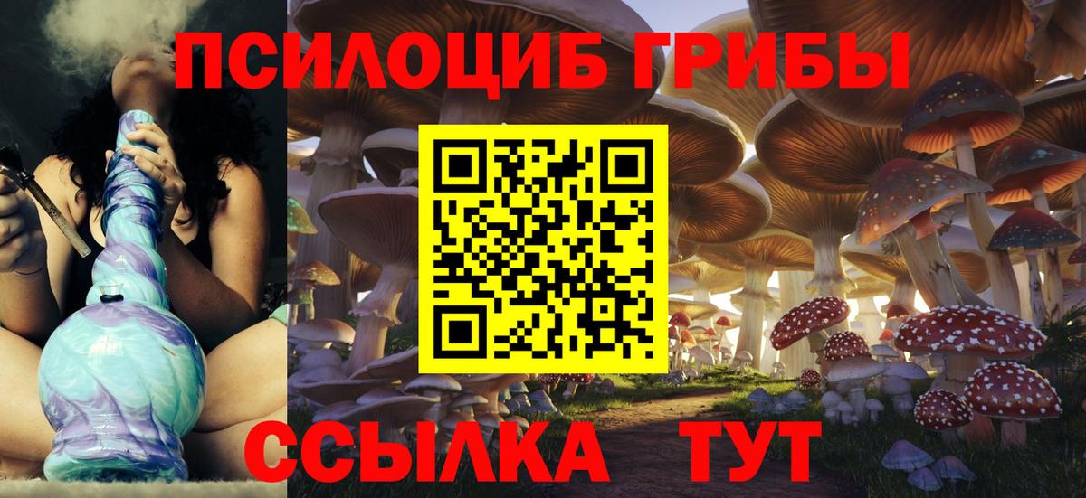 цена   Вход с VPN  Корсаков  Псилоцибиновые грибы Psilocybe 